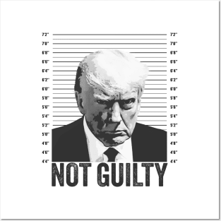 Trump Mugshot not guilty Posters and Art